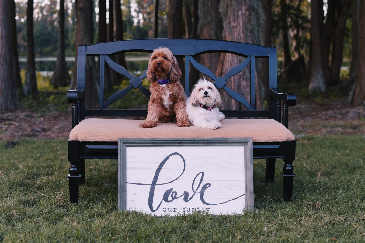 Processed with VSCO with c6 preset